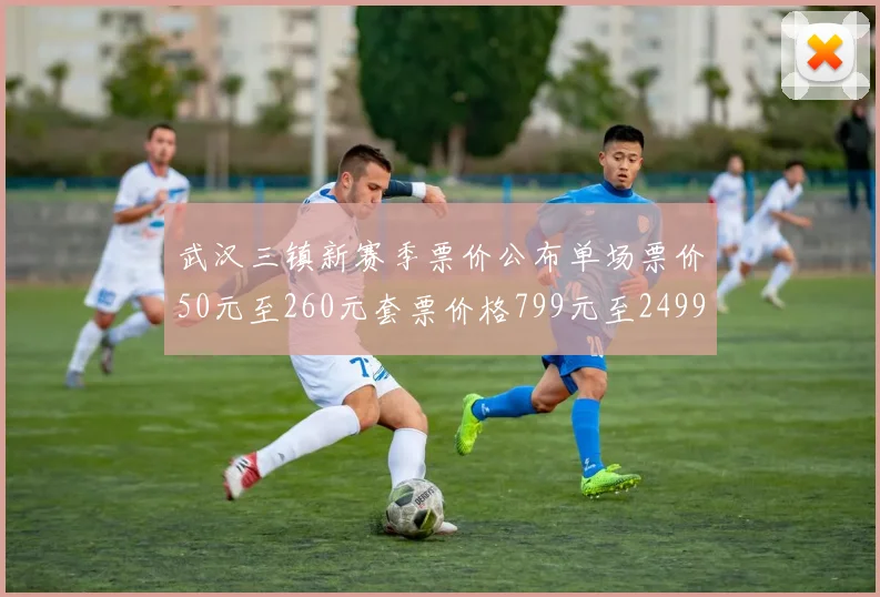 武汉三镇新赛季票价公布单场票价50元至260元套票价格799元至2499元